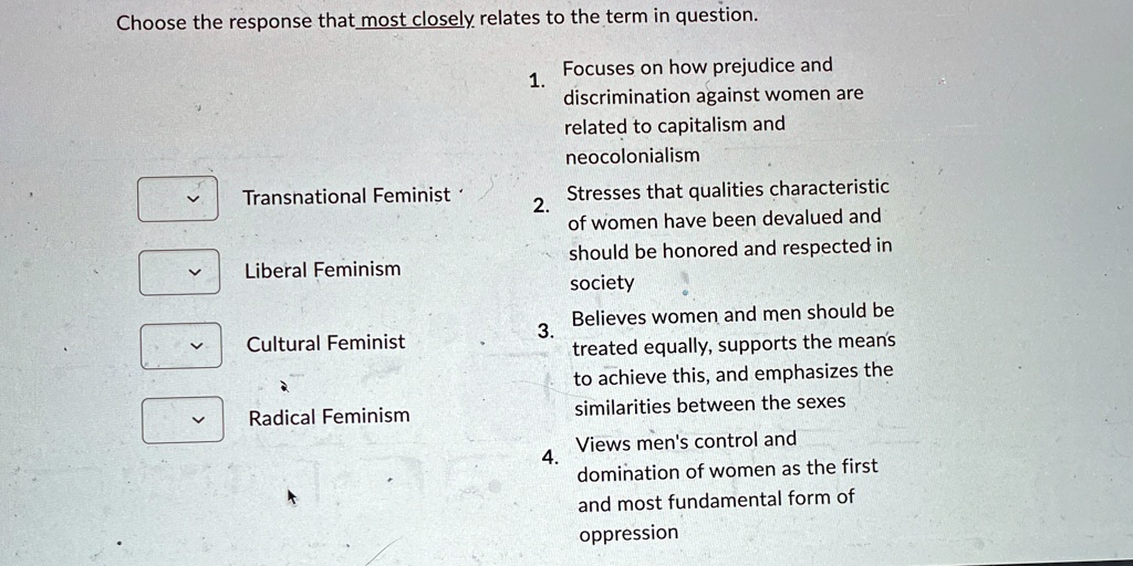 Choose the response that most closely relates to the term in question.
1.
Transnational Feminist
2.
Liberal Feminism
Cultural Feminist
Radical Feminism
3.
4.
Focuses on how prejudice and
discrimination against women are
related to capitalism and
neoliberalism
Stresses that qualities characteristic
of women have been devalued and
should be honored and respected in
society
Believes women and men should be
treated equally, supports the mean's
to achieve this, and emphasizes the
similarities between the sexes
Views men's control and
domination of women as the first
and most fundamental form of
opression