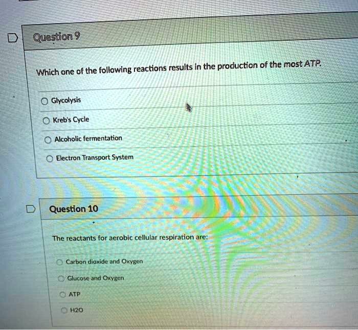 Question 9
Which one of the following reactions results in the production of the most ATP.
Glycolysis
Kreb's Cycle
Alcoholic fermentation
Electron Transport System
Question 10
The reactants for aerobic cellular respiration are:
Carbon dioxide and Oxygen
Glucose and Oxygen
ATP
H2O