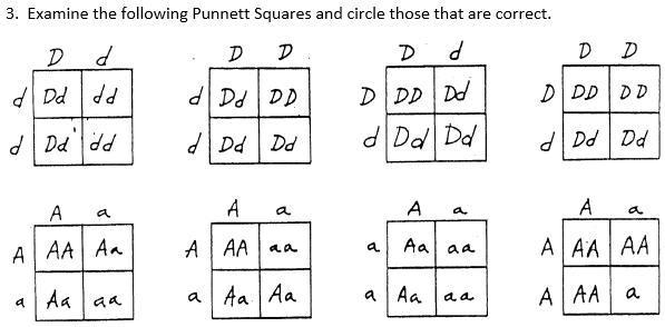 SOLVED: Here, please help. I think this is easy for you guys, but it is ...