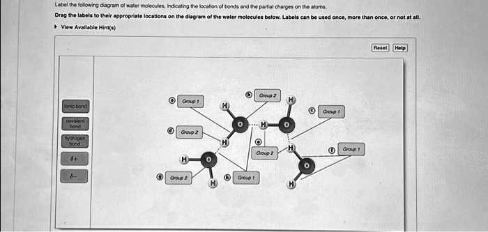 texts label the following diagram of water molecules indicating the ...