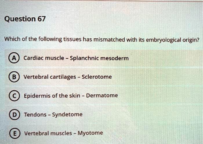 Question 67 Which of the following tissues has mismatched with its ...