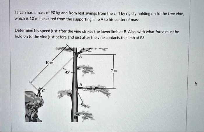 Tarzan has a mass of 90 kg and from rest swings from the cliff by rigidly holding on to the tree vine,
which is 10 m measured from the supporting limb A to his center of mass.
Determine his speed just after the vine strikes the lower limb at B. Also, with what force must he
hold on to the vine just before and just after the vine contacts the limb at B?
