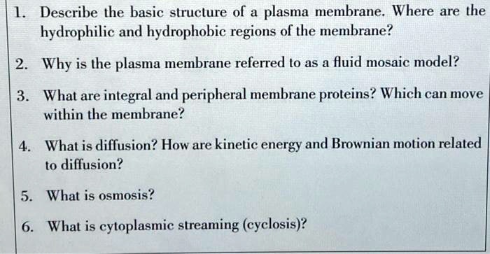 SOLVED: 1. Describe the basic structure of a plasma membrane. Where are ...