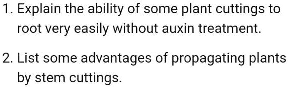 1. Explain the ability of some plant cuttings to root very easily without auxin treatment.

2. List some advantages of propagating plants by stem cuttings.