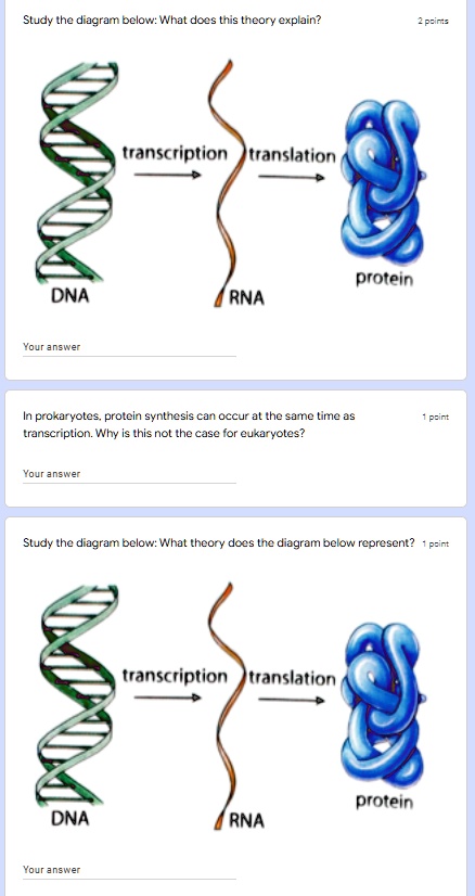SOLVED: Study the diagram below: What does this theory explain? 2 ...