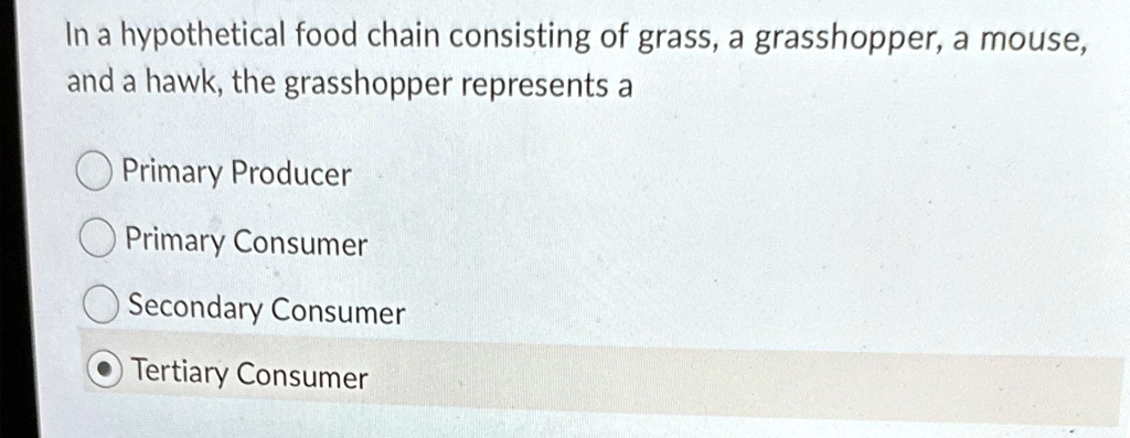 Letter Represents The Primary Consumer Letter Represents The Tertiary Consumer