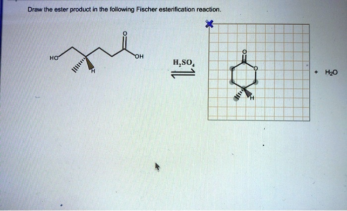 SOLVED: Draw the ester product in the following Fischer esterification ...