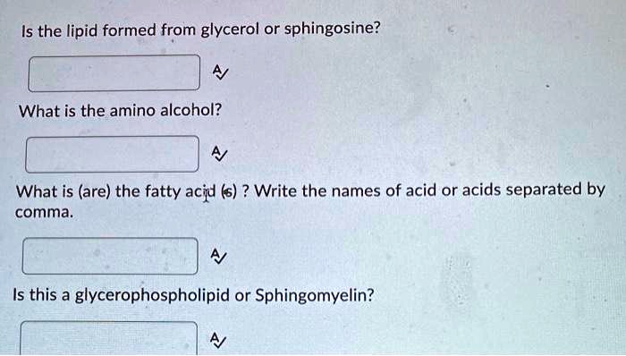 SOLVED: Is the lipid formed from glycerol or sphingosine? What is the ...
