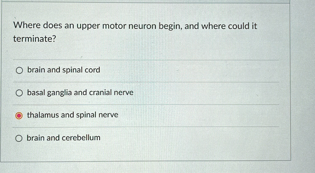 Where does an upper motor neuron begin, and where could it terminate ...