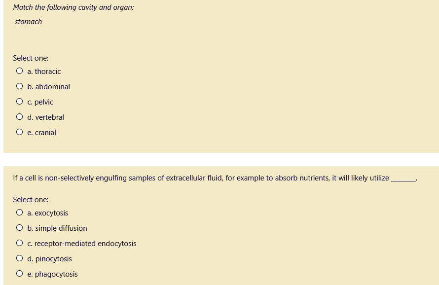 If A Cell Is Non Selectively Engulfing Samples