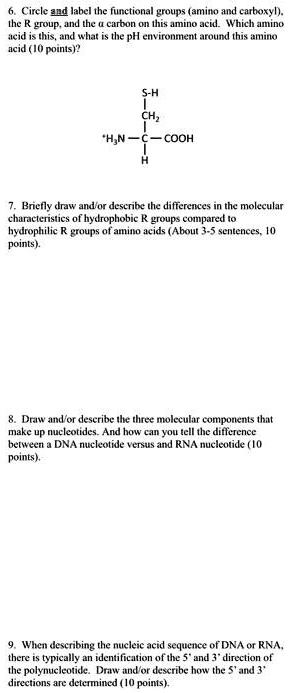 6. Circle and label the functional groups (amino and carboxyl), the R group, and the ? carbon on this amino acid. Which amino acid is this, and what is the pH environment around this amino acid (10 points)?

S-H
|
CH2
|
+H3N — C — COOH
|
H

7. Briefly draw and/or describe the differences in the molecular characteristics of hydrophobic R groups compared to hydrophilic R groups of amino acids (About 3-5 sentences, 10 points).

8. Draw and/or describe the three molecular components that make up nucleotides. And how can you tell the difference between a DNA nucleotide versus and RNA nucleotide (10 points).

9. When describing the nucleic acid sequence of DNA or RNA, there is typically an identification of the 5' and 3' direction of the polynucleotide. Draw and/or describe how the 5' and 3' directions are determined (10 points).