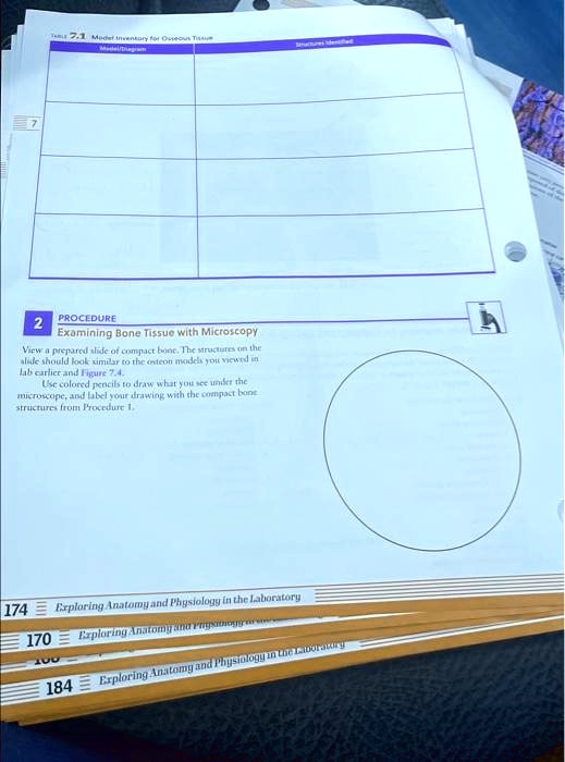 SOLVED: Texts: TABLE 7.1 Model Inventory for Osseous Tissue Model