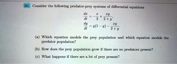 Solved Consider The Following Predator Prey System Of Differential Solved Consider The Following Predator Prey System Of Differential