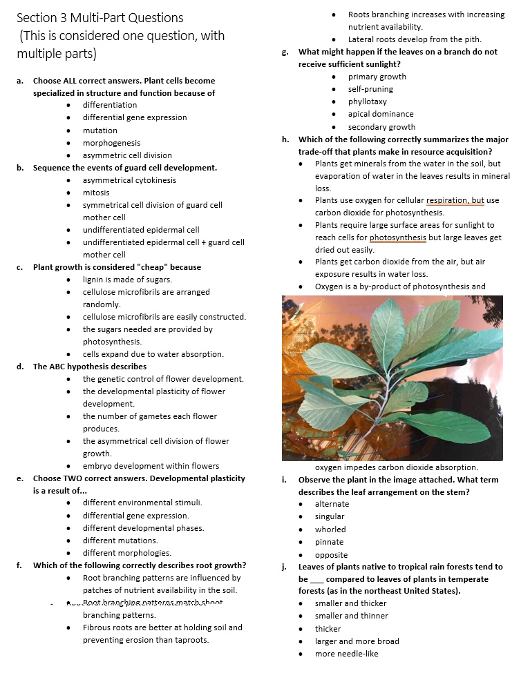 The Roots Bio Questions section 3 multi part questions this is considered one question with ...