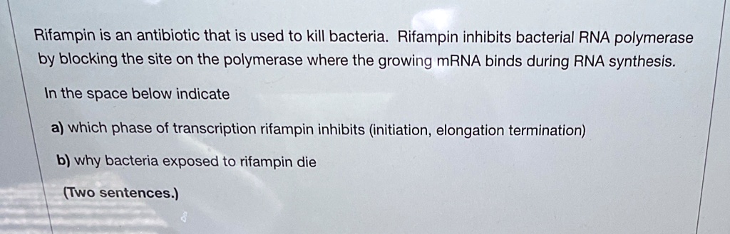 Rifampin is an antibiotic that is used to kill bacteria. Rifampin inhibits bacterial RNA polymerase by blocking the site on the polymerase where the growing mRNA binds during RNA synthesis.
In the space below indicate
a) which phase of transcription rifampin inhibits (initiation, elongation termination)
b) why bacteria exposed to rifampin die
(Two sentences.)