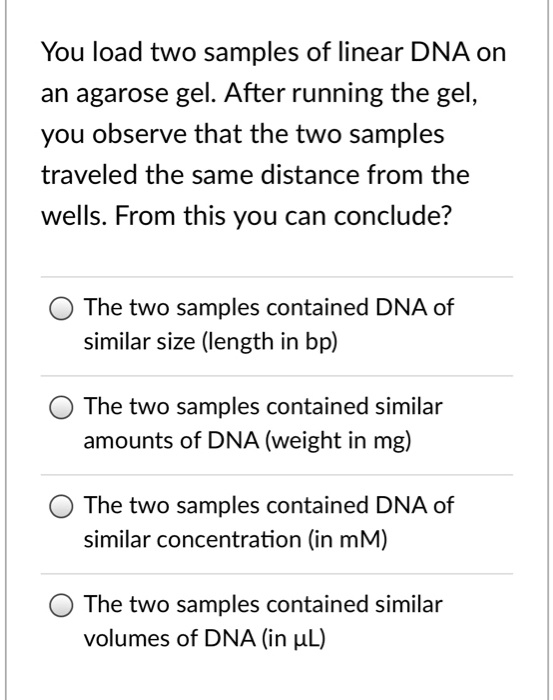 You load two samples of linear DNA on
an agarose gel. After running the gel,
you observe that the two samples
traveled the same distance from the
wells. From this you can conclude?
The two samples contained DNA of
similar size (length in bp)
The two samples contained similar
amounts of DNA (weight in mg)
The two samples contained DNA of
similar concentration (in mM)
The two samples contained similar
volumes of DNA (in µL)