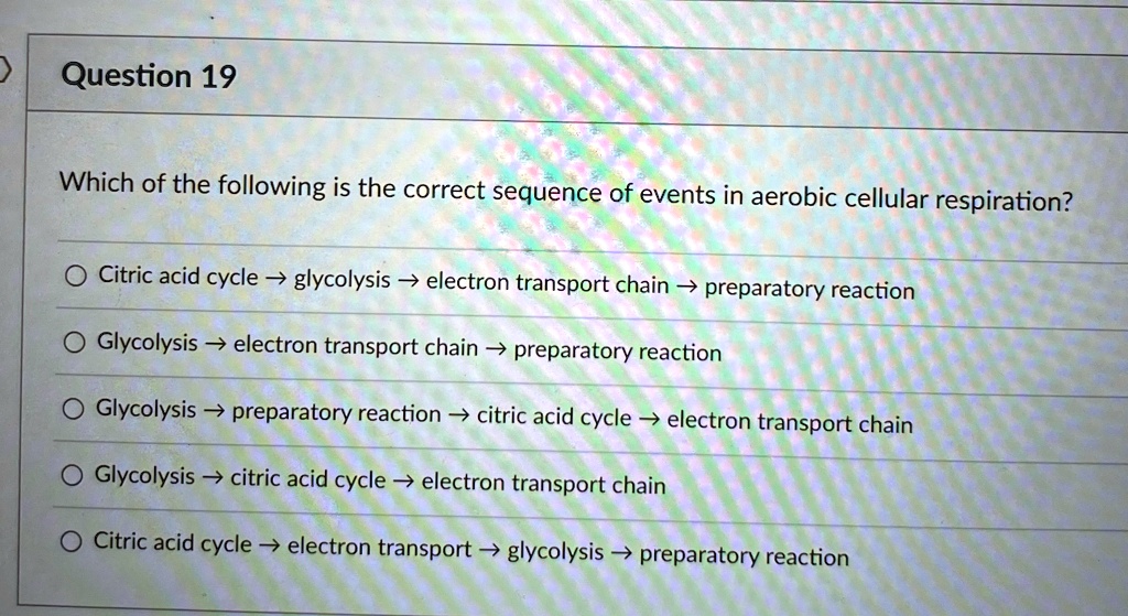 question 19 which of the following is the correct sequence of events in