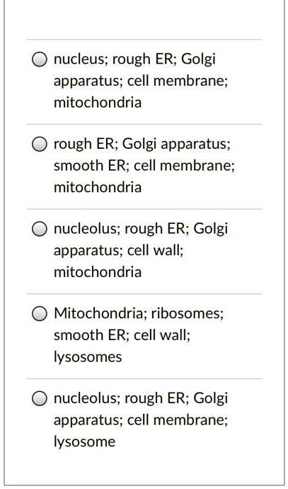 nucleus; rough ER; Golgi apparatus; cell membrane; mitochondria
rough ER; Golgi apparatus; smooth ER; cell membrane; mitochondria
nucleolus; rough ER; Golgi apparatus; cell wall; mitochondria
Mitochondria; ribosomes; smooth ER; cell wall; lysosomes
nucleolus; rough ER; Golgi apparatus; cell membrane; lysosome