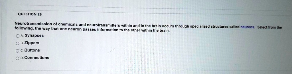 Neurotransmission of chemicals and neurotransmitters within and in the brain occurs through specialized structures called neurons. Select from the following, the way that one neuron passes information to the other within the brain.
A. Synapses
B. Zippers
C. Buttons
D. Connections