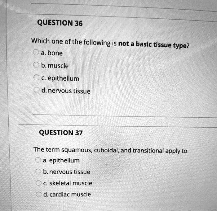 question 36 which one of the following is not a basic tissue type a ...
