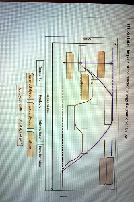 11 pts label the parts encilt reactants uncatalyzed catalyzed path products ea catalyzed uncatalyzed palh intermediate uxjht transition state the rcaction 1 diagram given below 98324