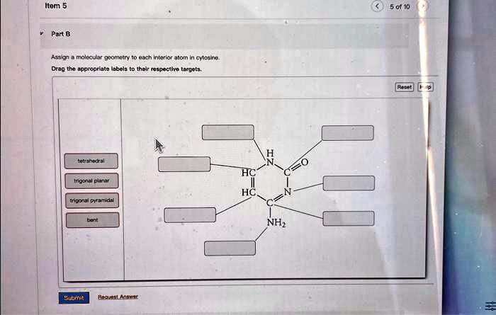 Assign A Molecular Geometry To Each Interior Atom In Cytosine