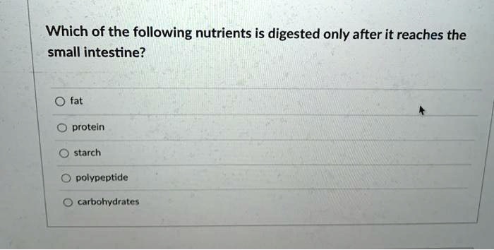 Which of the following nutrients is digested only after it reaches the small intestine?
fat
protein
starch
polypeptide
carbohydrates