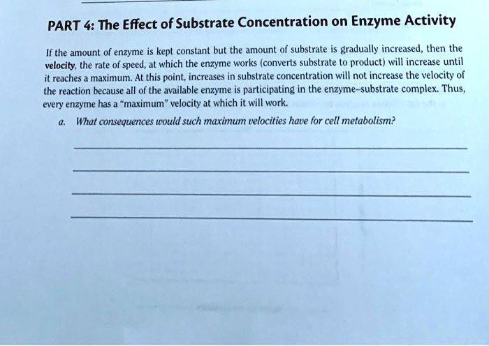 part 4 the effect of substrate concentration on enzyme activity if the ...