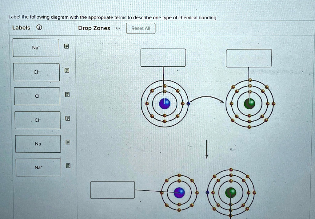 [GET ANSWER] label the following diagram with the appropriate terms to ...