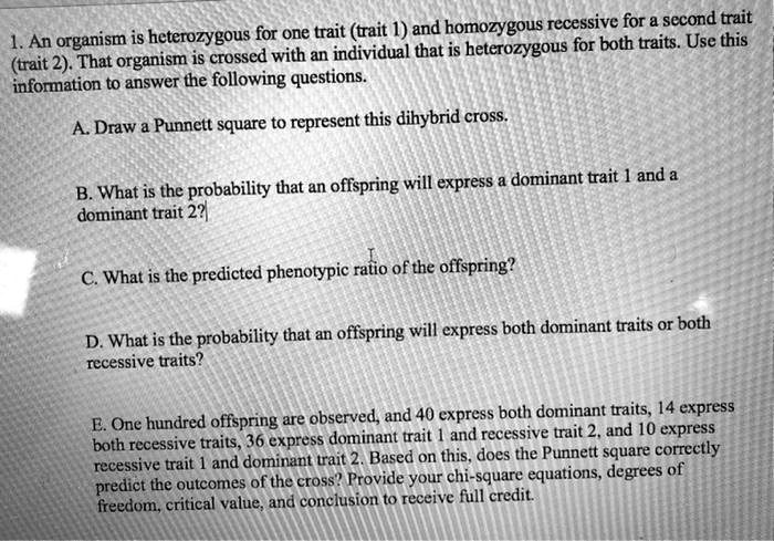 homozygous dominant traits