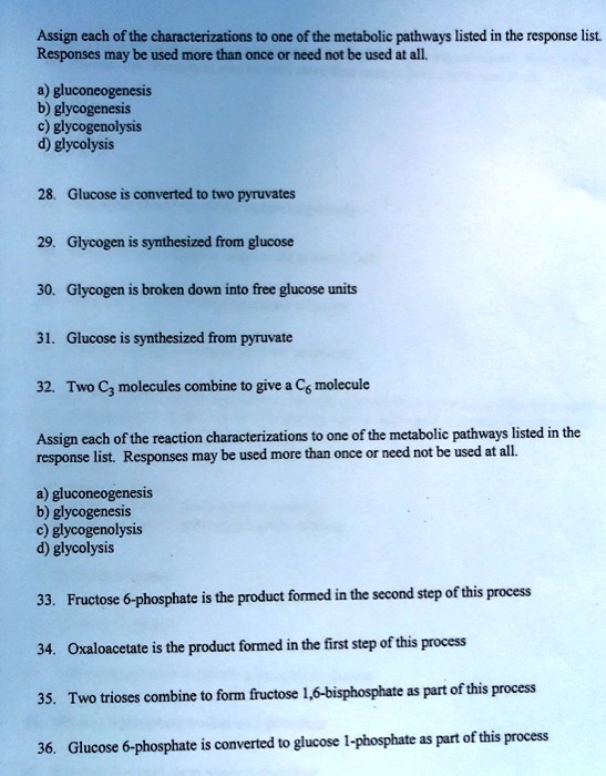Assign each of the characterizations to one of the metabolic pathways listed in the response list. Responses may be used more than once or need not be used at all.

a) gluconeogenesis
b) glycogenesis
c) glycogenolysis
d) glycolysis

28. Glucose is converted to two pyruvates
29. Glycogen is synthesized from glucose
30. Glycogen is broken down into free glucose units
31. Glucose is synthesized from pyruvate
32. Two C3 molecules combine to give a C6 molecule

Assign each of the reaction characterizations to one of the metabolic pathways listed in the response list. Responses may be used more than once or need not be used at all.

a) gluconeogenesis
b) glycogenesis
c) glycogenolysis
d) glycolysis

33. Fructose 6-phosphate is the product formed in the second step of this process
34. Oxaloacetate is the product formed in the first step of this process
35. Two trioses combine to form fructose 1,6-bisphosphate as part of this process
36. Glucose 6-phosphate is converted to glucose 1-phosphate as part of this process