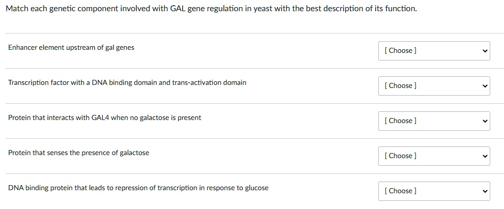 Match each genetic component involved with GAL gene regulation in yeast with the best description of its function.

Enhancer element upstream of gal genes
Transcription factor with a DNA binding domain and trans-activation domain
Protein that interacts with GAL4 when no galactose is present
Protein that senses the presence of galactose
DNA binding protein that leads to repression of transcription in response to glucose