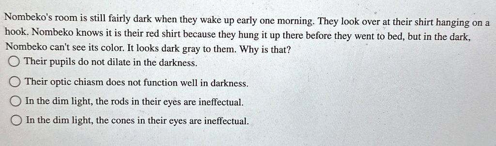 Nombeko's room is still fairly dark when they wake up early one morning. They look over at their shirt hanging on a hook. Nombeko knows it is their red shirt because they hung it up there before they went to bed, but in the dark, Nombeko can't see its color. It looks dark gray to them. Why is that?
Their pupils do not dilate in the darkness.
Their optic chiasm does not function well in darkness.
In the dim light, the rods in their eyes are ineffectual.
In the dim light, the cones in their eyes are ineffectual.