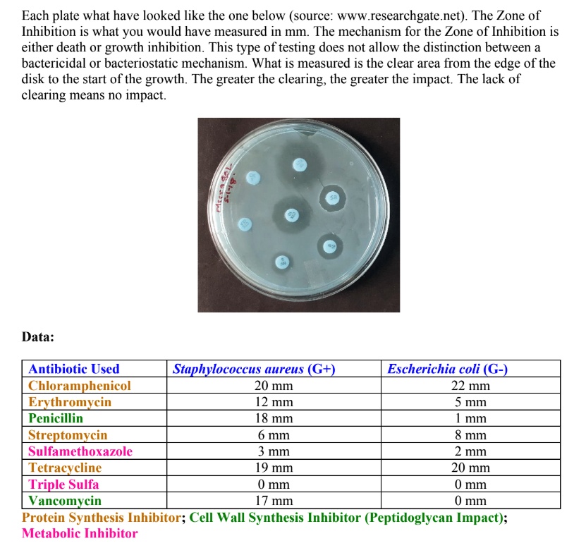 solved-microbiology-lab-1-how-do-you-measure-the-zone-of-chegg