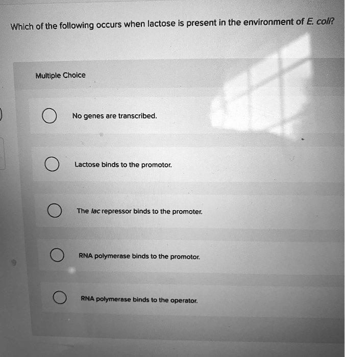 which of the following occurs when lactose is present in the ...