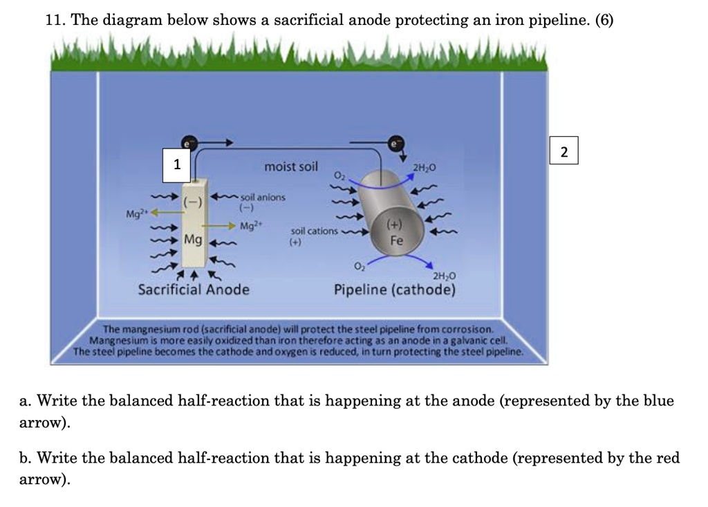 11 the diagram below shows a sacrificial anode protecting an iron pipeline 6 moist soil 2h0 soilanions mg soll catlons mg mg fe 2h0 pipeline cathode sacrificial anode the mangnesium rod sac 47555