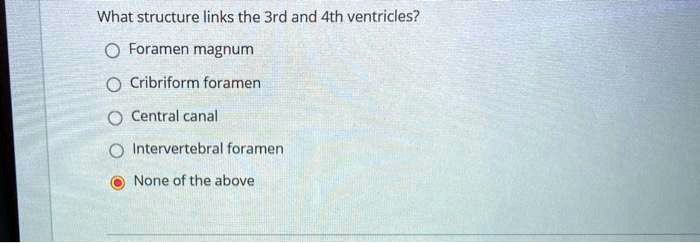 What structure links the 3rd and 4th ventricles?
Foramen magnum
Cribriform foramen
Central canal
Intervertebral foramen
None of the above