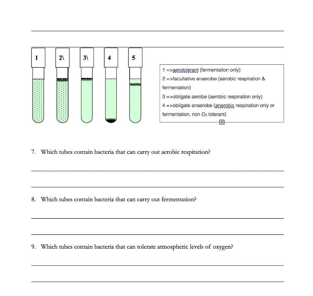 SOLVED: 1 =>aerotolerant (fermentation only) 2 =>facultative anaerobe ...