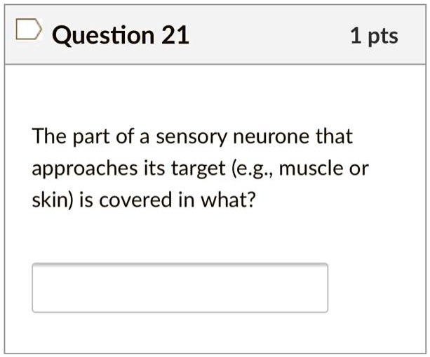 The part of a sensory neurone that approaches its target (e.g., muscle or skin) is covered in what?