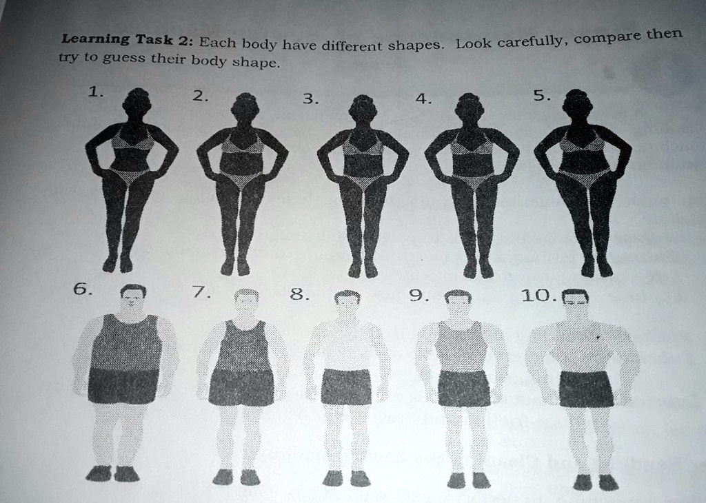7 Body shapes