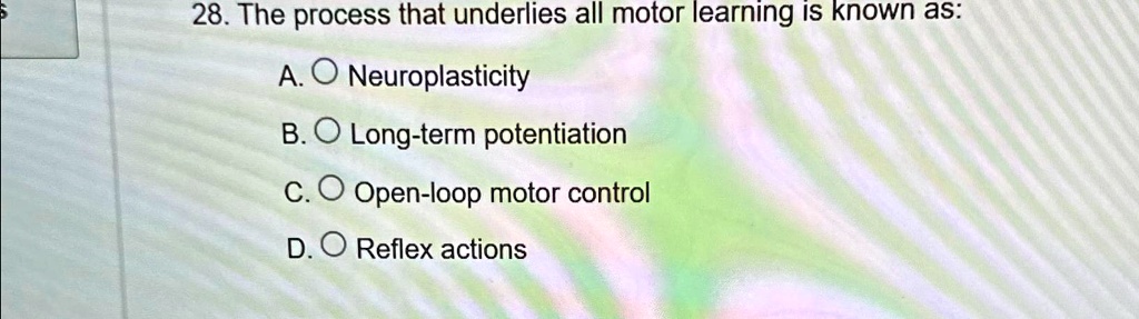 28. The process that underlies all motor learning is known as: A ...