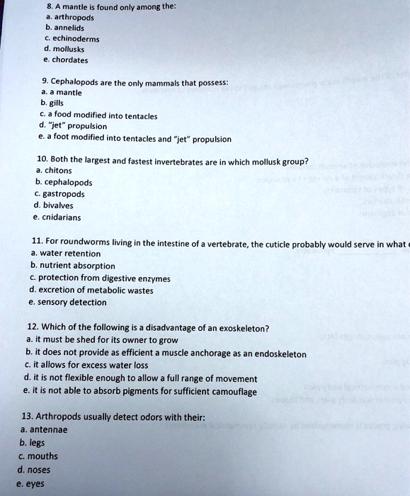 8. A mantle is found only among the:
a. arthropods
b. annelids
c. echinoderms
d. mollusks
e. chordates
9. Cephalopods are the only mammals that possess:
a. a mantle
b. gills
c. a food modified into tentacles
d. "jet" propulsion
e. a foot modified into tentacles and "jet" propulsion
10. Both the largest and fastest invertebrates are in which mollusk group?
a. chitons
b. cephalopods
c. gastropods
d. bivalves
e. cnidarians
11. For roundworms living in the intestine of a vertebrate, the cuticle probably would serve in what
a. water retention
b. nutrient absorption
c. protection from digestive enzymes
d. excretion of metabolic wastes
e. sensory detection
12. Which of the following is a disadvantage of an exoskeleton?
a. it must be shed for its owner to grow
b. it does not provide as efficient a muscle anchorage as an endoskeleton
c. it allows for excess water loss
d. it is not flexible enough to allow a full range of movement
e. it is not able to absorb pigments for sufficient camouflage
13. Arthropods usually detect odors with their:
a. antennae
b. legs
c. mouths
d. noses
e. eyes