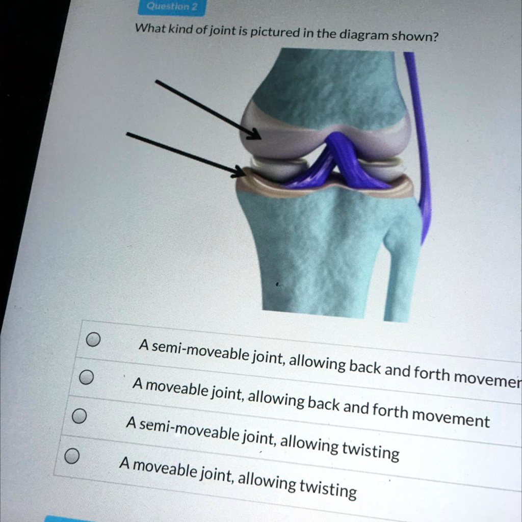 Question 2
What kind of joint is pictured in the diagram shown?
A semi-moveable joint, allowing back and forth movement
A moveable joint, allowing back and forth movement
A semi-moveable joint, allowing twisting
A moveable joint, allowing twisting