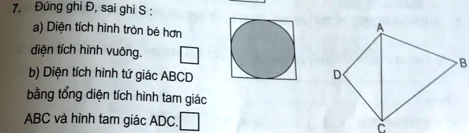 SOLVED: 7 Ä Ãºng ghi D, sai ghi a) Diá»‡n tÃ­ch hÃ¬nh trÃ²n bÃ© hÆ¡n ...