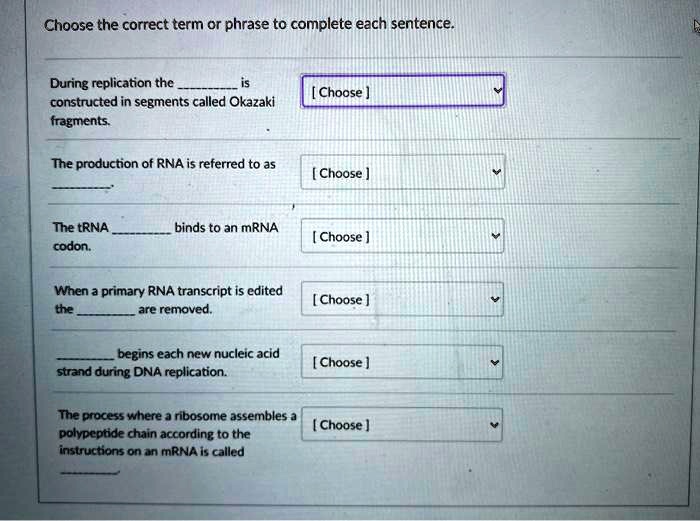 Choose the correct term or phrase to complete each sentence.

During replication the  is constructed in segments called Okazaki fragments.

The production of RNA is referred to as .

The tRNA  binds to an mRNA codon.

When a primary RNA transcript is edited the  are removed.

 begins each new nucleic acid strand during DNA replication.

The process where a ribosome assembles a polypeptide chain according to the instructions on an mRNA is called .