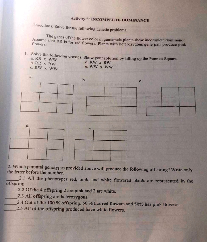 SOLVED '2. Which parental genotypes provided above will produce the