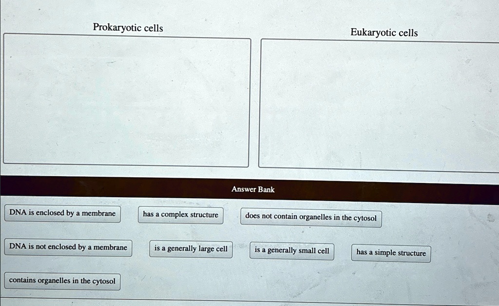 Prokaryotic cells Eukaryotic cells Answer Bank DNA is enclosed by a