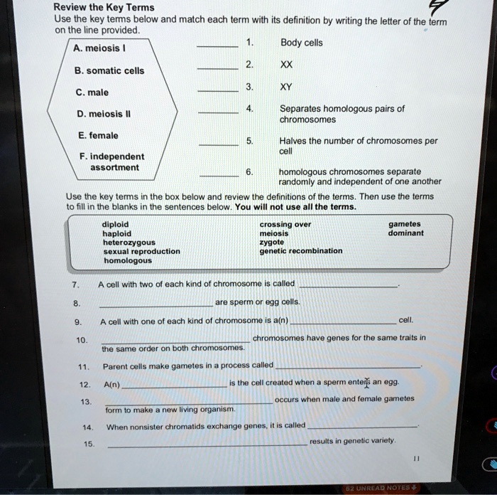 SOLVED: Review the Key Terms 5 Use the key terms below and malch each ...