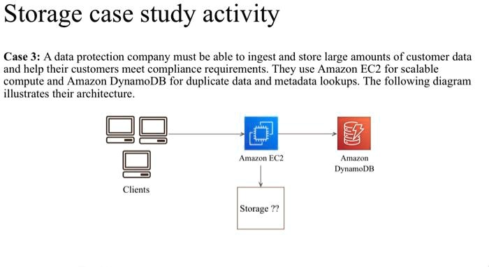 Storage case study activity Case 3: A data protection...