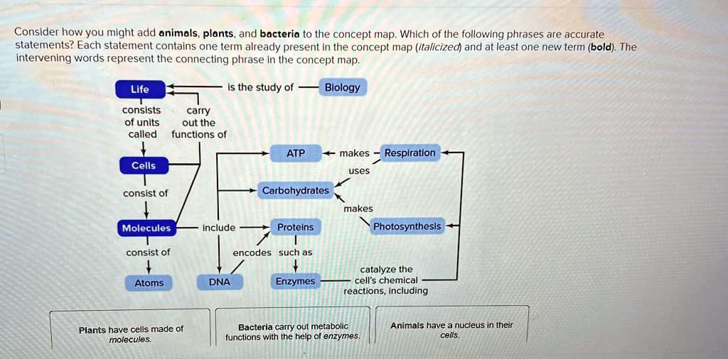 SOLVED: Consider how you might add animals, plants, and bacteria to the ...